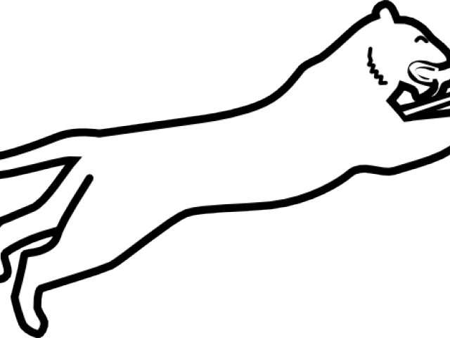 White Clipart Panther - Clip Art (640x480)
