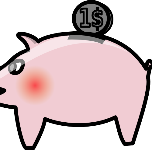 Personal Finance - Piggy Bank (500x493)
