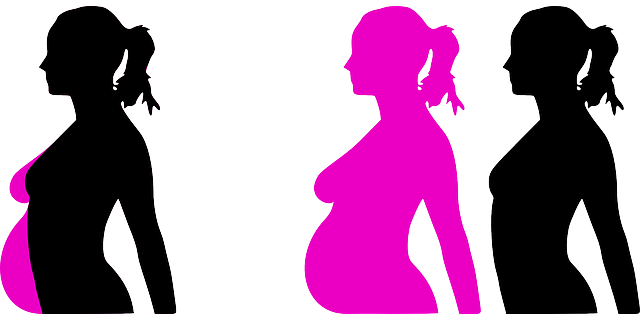 Shocking Study Finds That High Doses Of Fertility Hormones - Pregnant Clip Art (640x320)