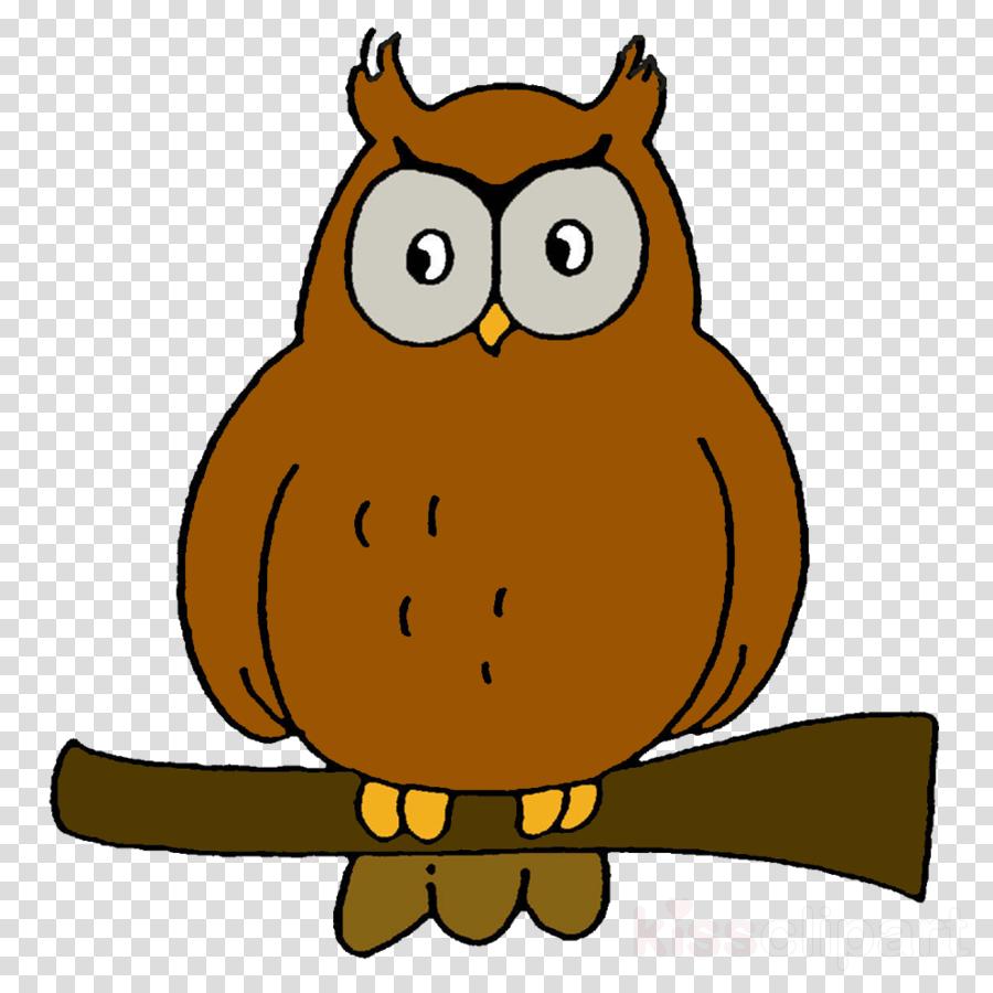 Owl Clipart Art Pre-school Clip Art - Thug Life Png Cap (900x900)