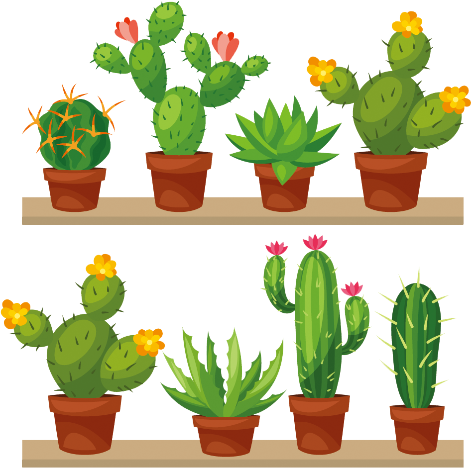 Cactus Transparent Png Clip Art Image - Transparent Succulent Clip Art (1000x1000)