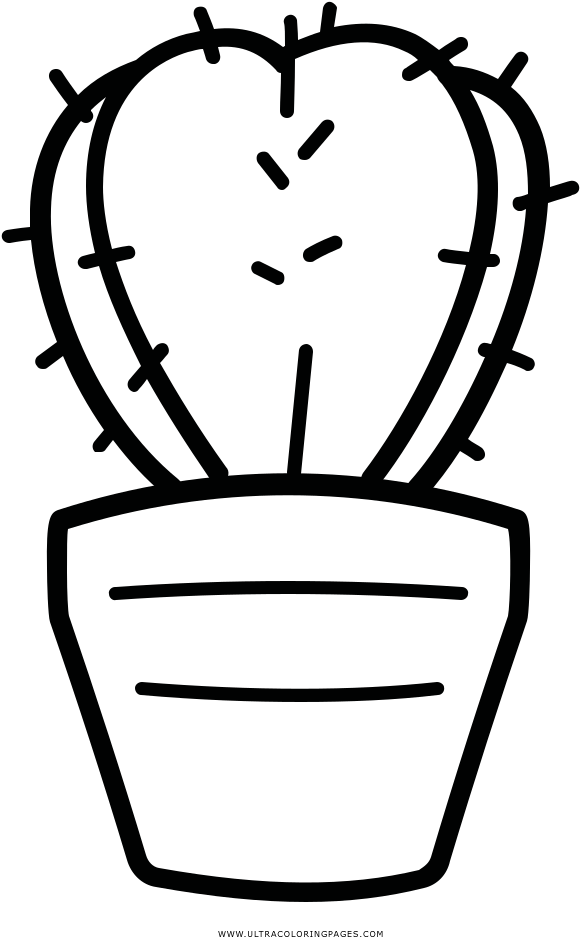 Cactus Coloring Page - Cactus Coloring Page (1000x1000)