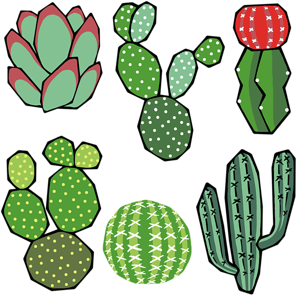 Bleed Area May Not Be Visible - Barbary Fig (600x600)