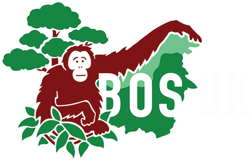 Borneo Orangutan Survival Uk - Bornean Orangutan Survival Foundation Logo (500x319)