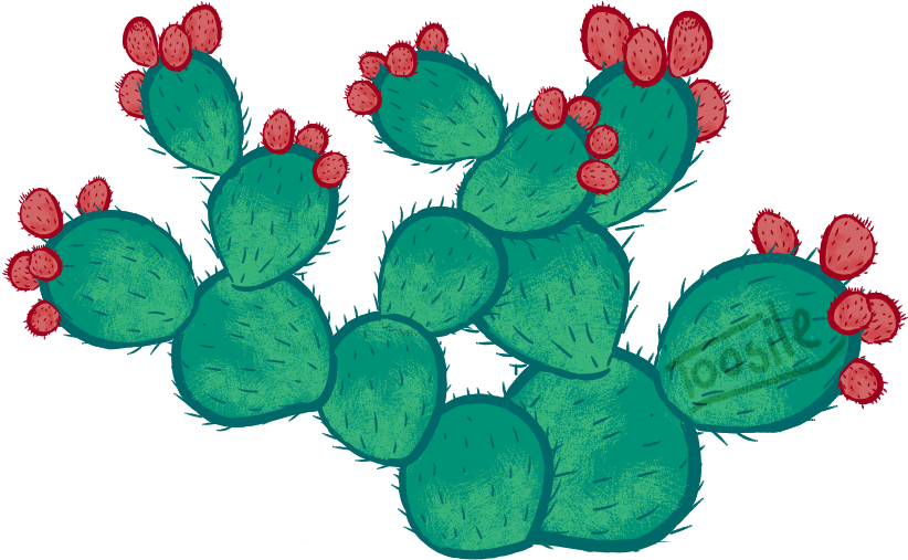 Mexico Clipart Nopal - Mexico Png (905x564)