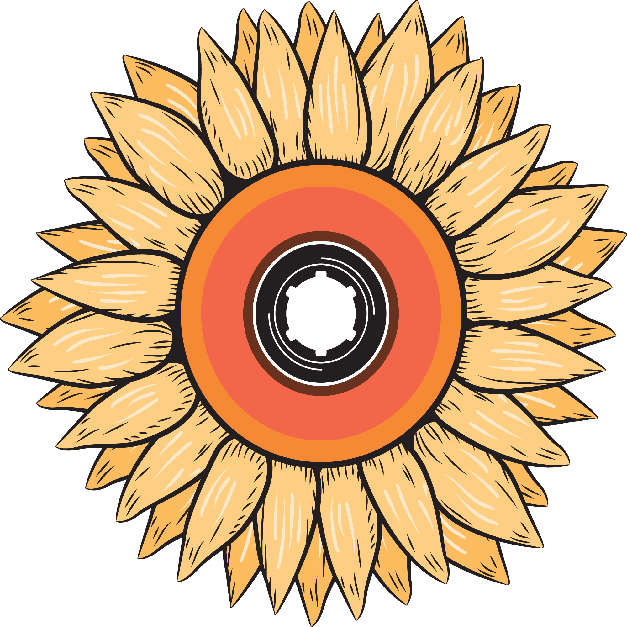 Breezy Boards Is A Fresh And Upcoming Longboard Company - Sunflower (2000x2000)