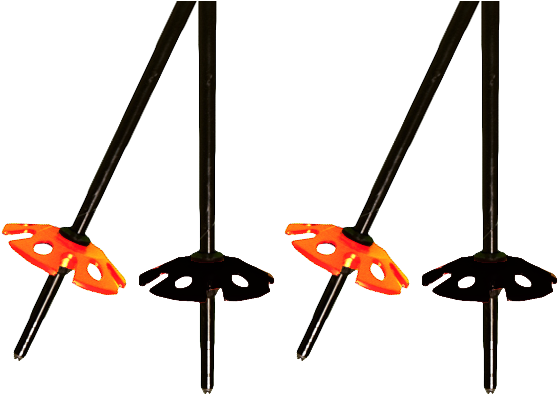 Ski Poles - Ski Poles (690x416)