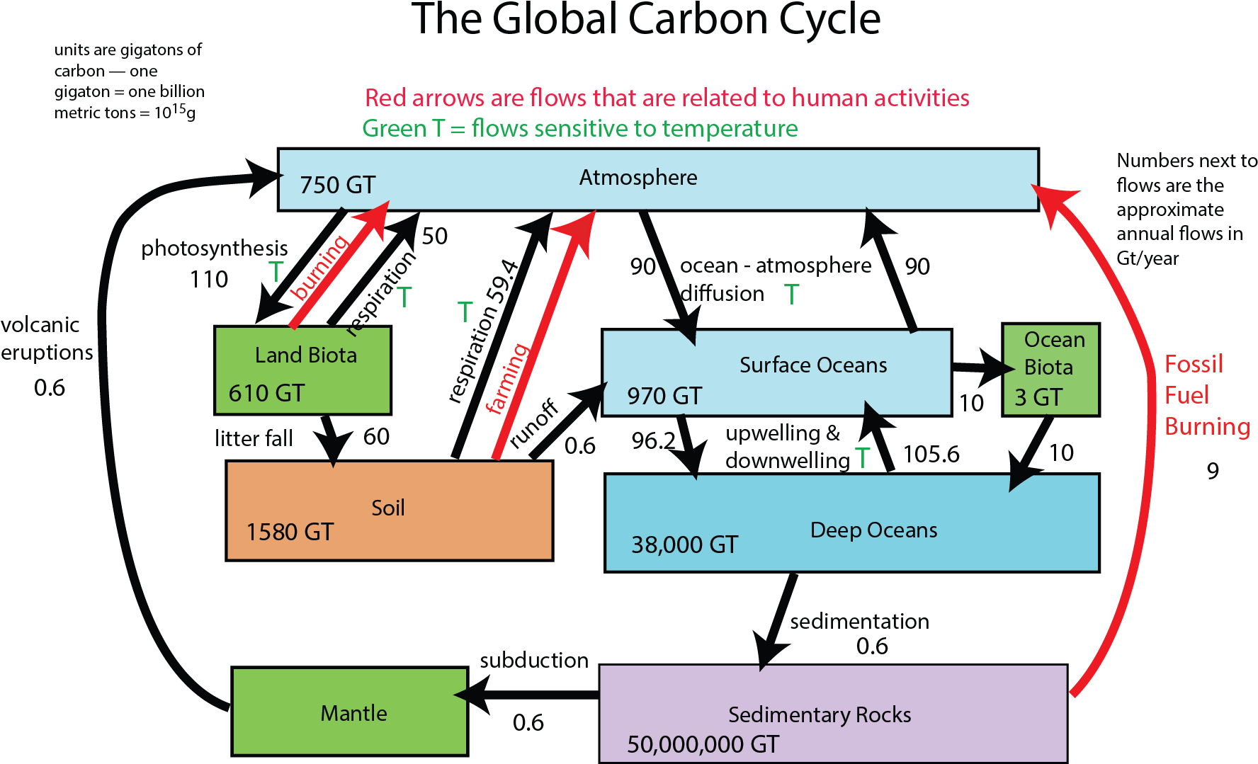 Clip Art Transparent Unit Reading - Carbon Cycle Systems Diagram (1782x1087)