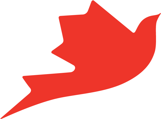 Non-communicable Disease Care Integration Into Hiv - Grand Challenges Canada (800x800)