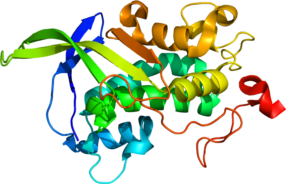 Niemann Pick Disease, Type C - Npc1 Protein (1200x1000)