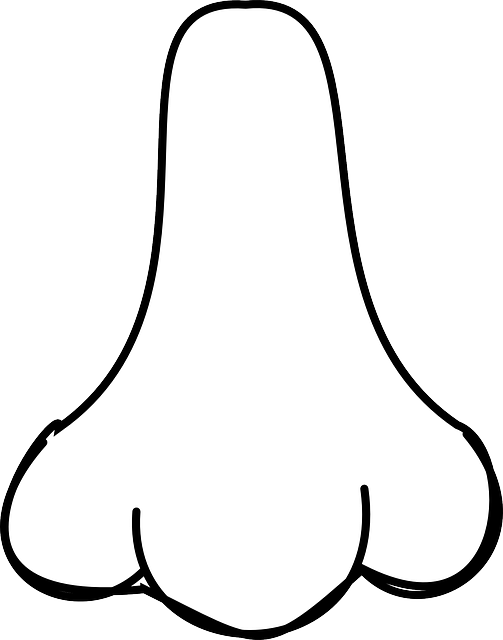 In My Other Romance Languages, The Words For Nose, - White Nose Png (503x640)