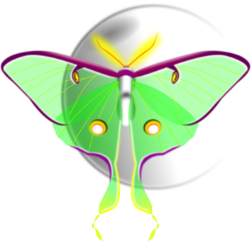 Moth Monarch Butterfly Brush-footed Butterflies Computer - Clip Art (355x340)