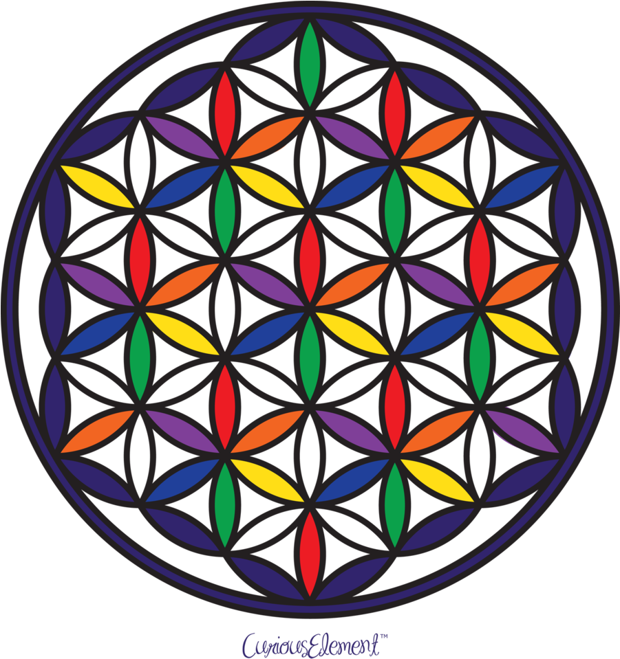 Clip Art Freeuse Flower Of By Curiouselement On Deviantart - Flor De La Vida (900x974)