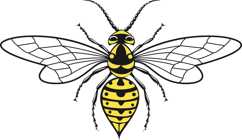 By Oksmith - Net-winged Insects (791x459)