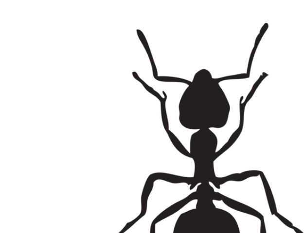 Ant Clip Art Black And White (640x480)