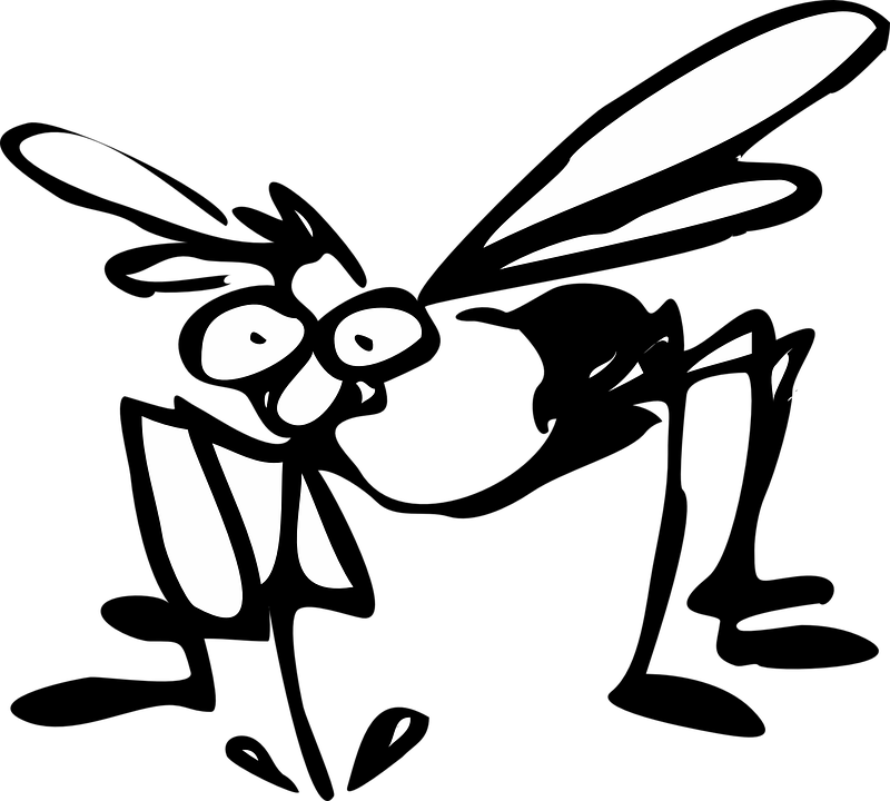 Mosquito Wings Free Vector Graphic On Pixabay - Can T Mosquitoes Suck Fat Instead (800x720)