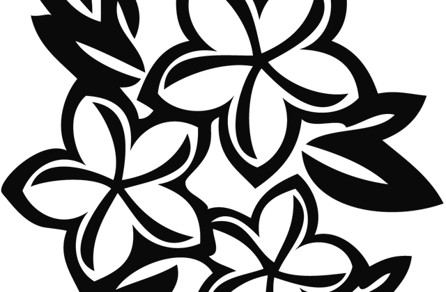 Black And White Line Art Source - Drawing Plumeria Flower (640x420)