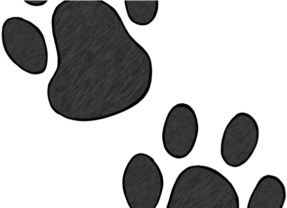 Jungle Animal Paw Prints Clip Art 49 Fox Nail - Illustration (640x420)