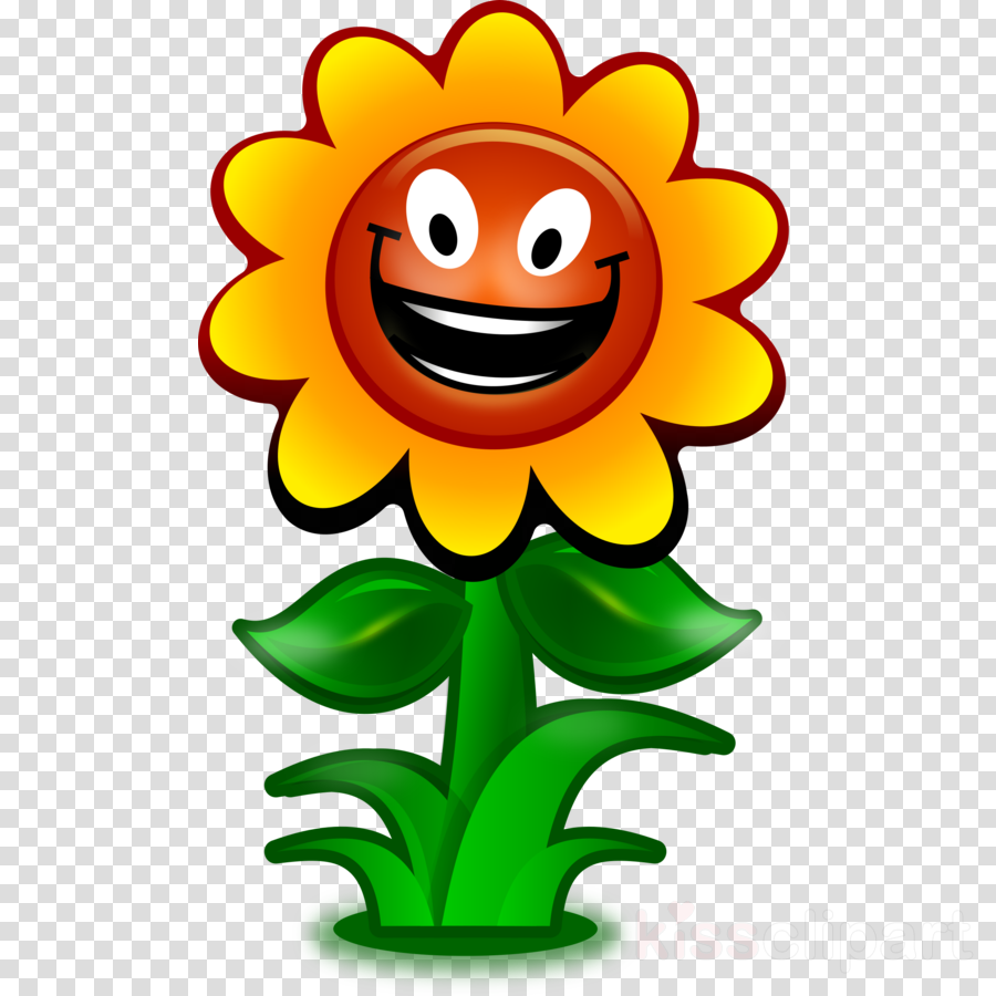 Cartoon Sunflower Clipart Common Sunflower Clip Art - Sunflower For Picture Clipart (900x900)