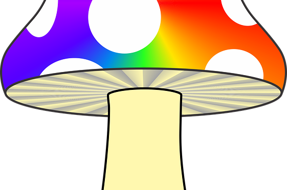 Mushroom-1605869 960 - Trippy Mushroom Clip Art (561x372)
