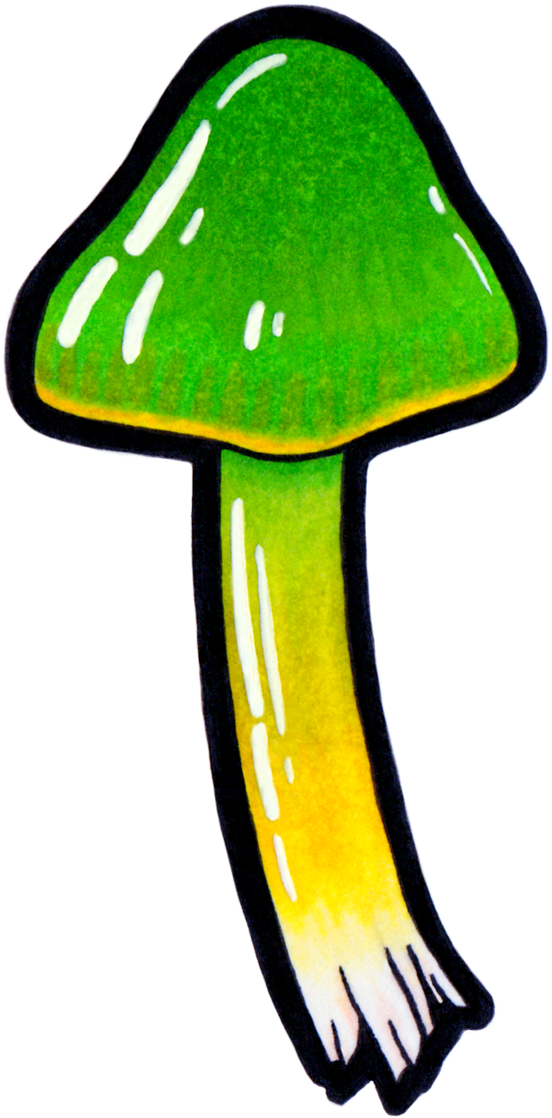 Parrot Waxcap Gliophorus Psittacinus Hyaenija On Deviantart - Parrot Waxcap Gliophorus Psittacinus Hyaenija On Deviantart (1280x1280)