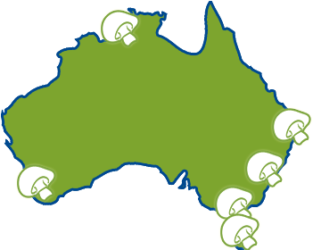 Mushroom Kits Are Now Available From Retailers Around - Mushrooms Grown In Australia (445x279)