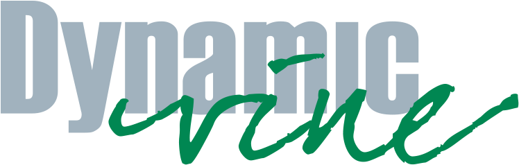 Dynamic Vine Digital Agency / Business Consultants, - Calligraphy (758x250)