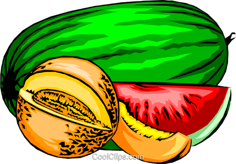 Melons Royalty Free Vector Clip Art Illustration - Melons Clipart (480x334)