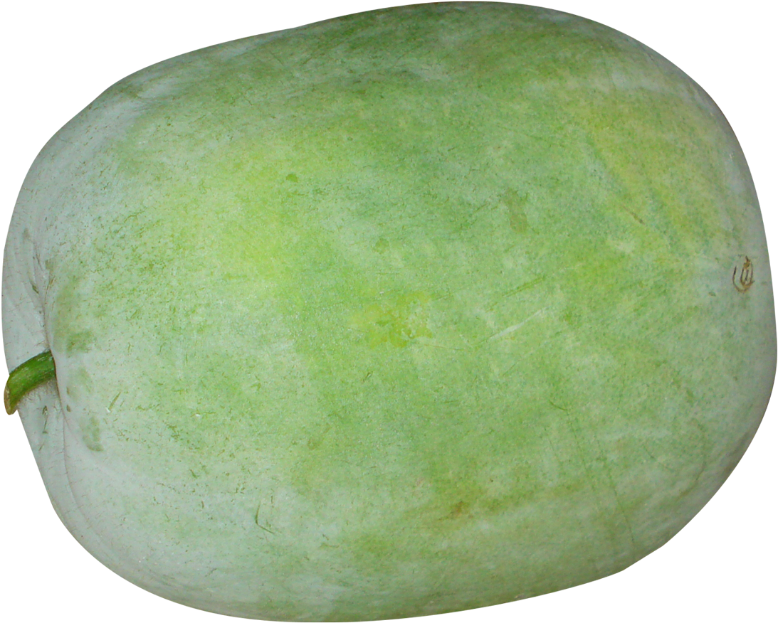 Watermelon Clipart Honeydew - Winter Melon Png (1153x931)