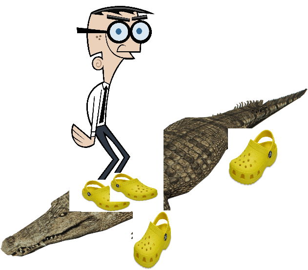 Crocker Wearing Crocs On A Crocodile Wearing Crocs - Crocodile Wearing Crocs (1080x672)