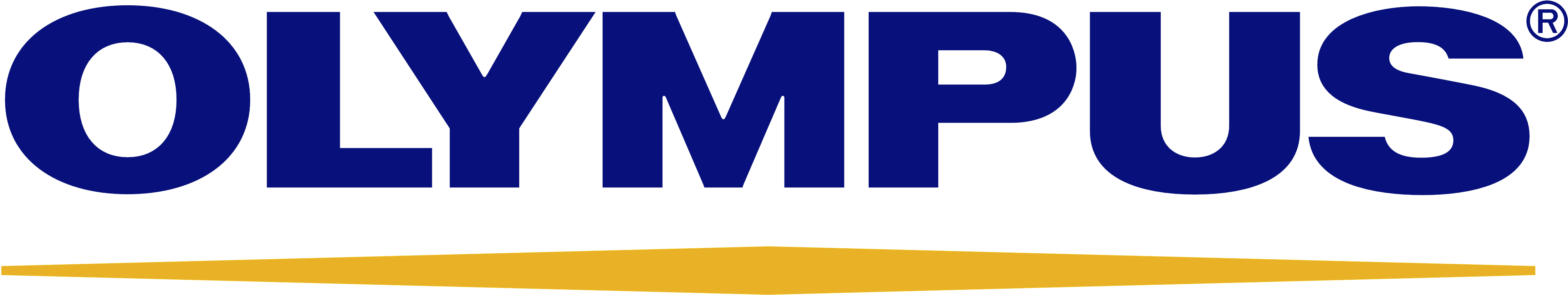 Apply Filters Search Results - Olympus Logo Png (5000x1300)