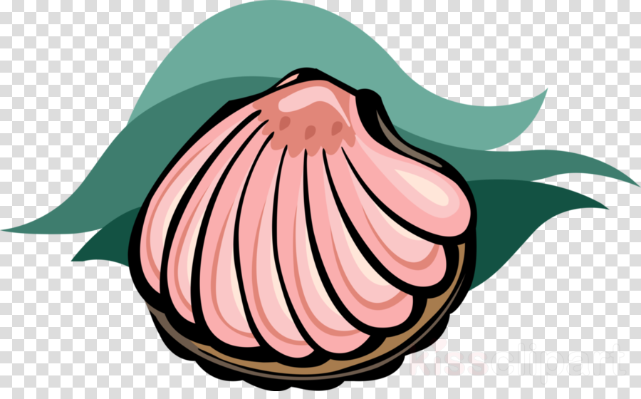 Clip Art Clipart Clam Clip Art - Social Media White Icons Png (900x560)