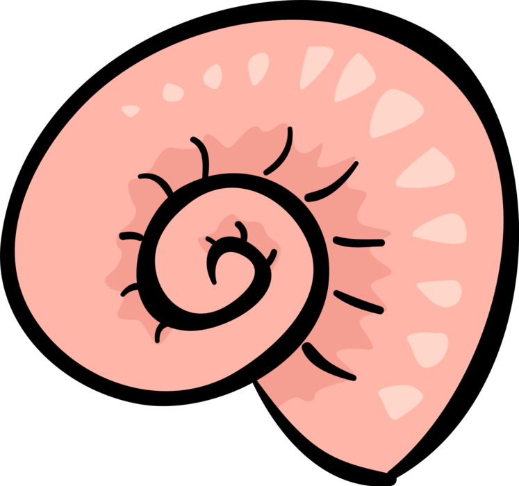 Vector Illustration Of Snail Or Terrestrial Gastropod - Circle (747x700)