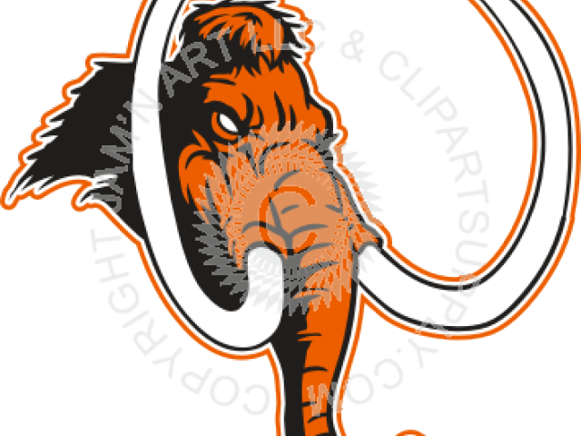 Mammoth Clipart Head - Illustration (640x480)