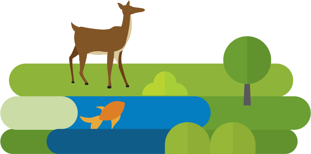 Messagepath4-deer - Roe Deer (1339x695)