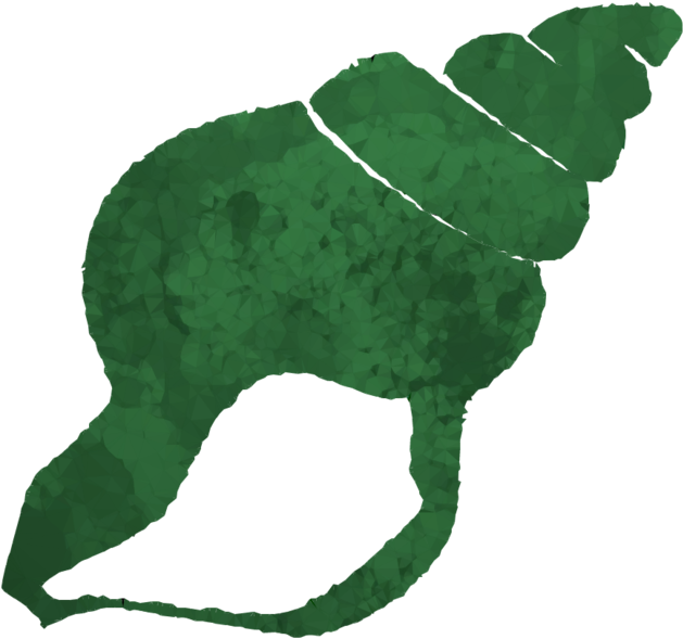 Sea Shell Icons Clipart Seashell Computer Icons Mollusc - Shell Clip Art Black (900x900)