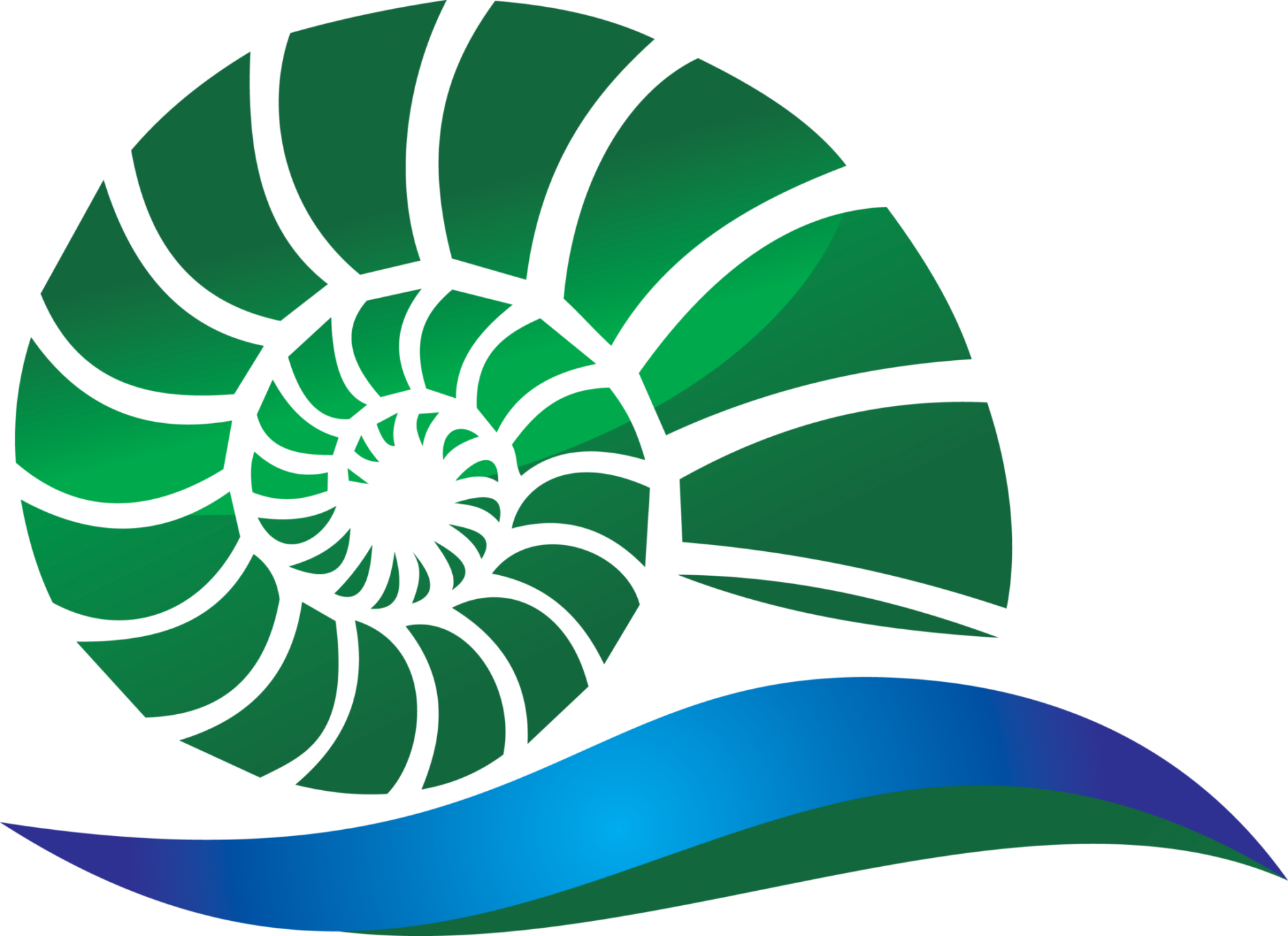 Why I Find The Nautilus Shell As An Inspiration - Aerio Modifikasi Velg Racing (1880x1367)