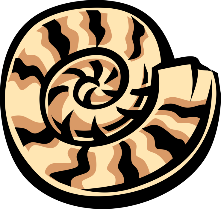 Chambered Nautilus Shell - Kappa Delta (738x700)