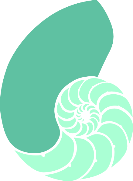 Dklafklhg Clip Art - Chambered Nautilus (438x595)