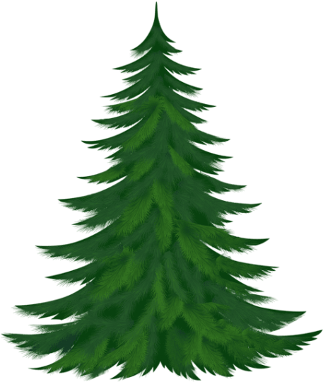 Download Transparent Pine Tree Png Images Background - Pine Tree Clipart Png (480x566)