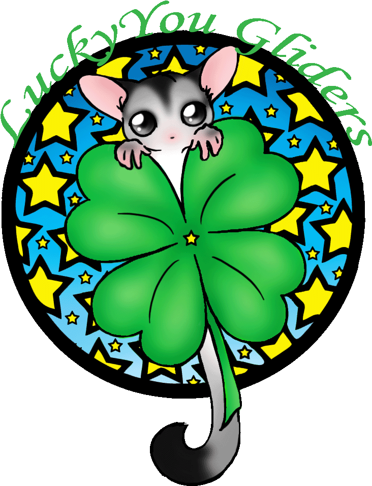 Sugar Glider Clipart Beautiful - Sugar Glider Clipart Beautiful (732x956)