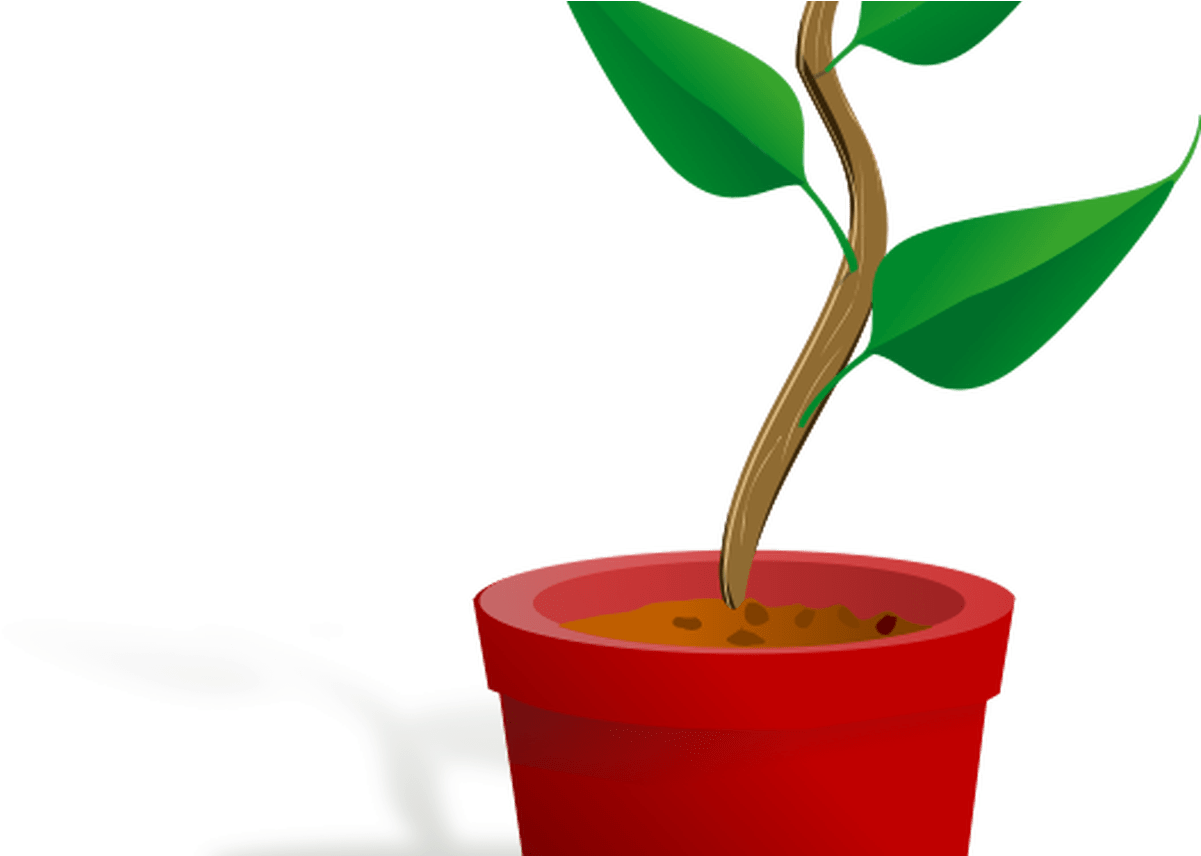 Potted Tree Clip Transparent Stock Techflourish Collections - Plant Clip Art (1368x855)