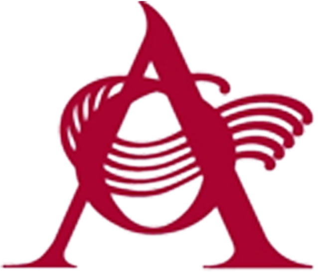 Stranger Things Unisex Tshirt - A (640x640)