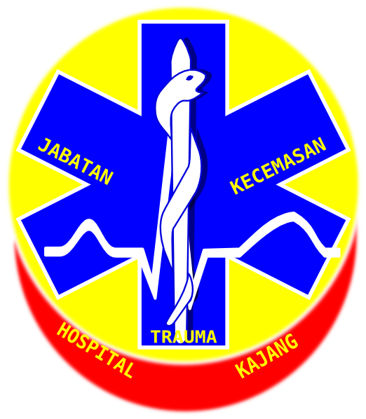Paramedic Cross (522x598)