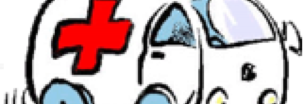 March Forum - Vet Ambulance Cartoon (1024x350)