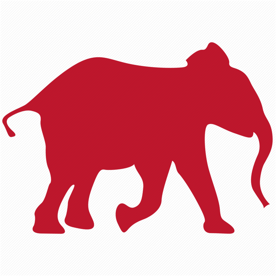 Elephant Icon Transparent Clipart Indian Elephant African - Transparent Elephant Icon (900x900)