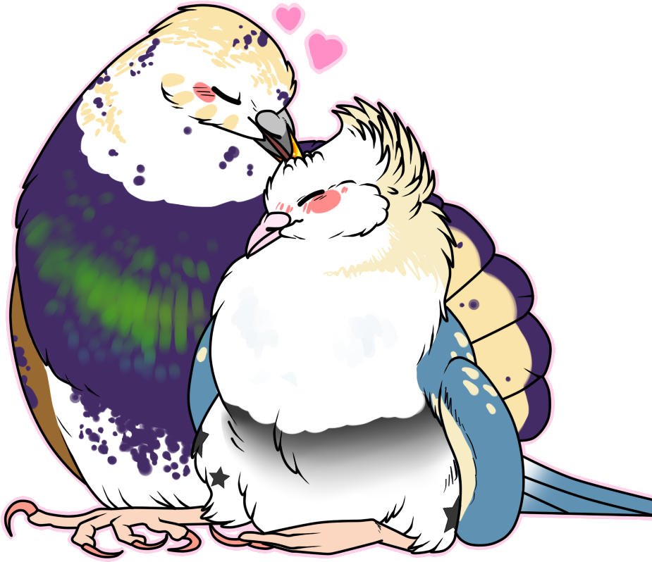 Animals / Yeehaw We're Cowboys / What Does That Even - Cartoon (1000x1000)