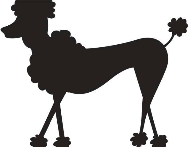 Paris Clipart Paris Poodle - Perros De Paris (640x480)