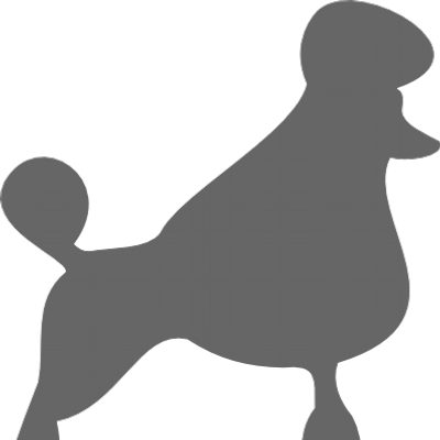 Grey Poodle - Miniature Poodle (400x400)