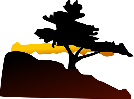 Tree, Hill, Sunset, Landscape, Twilight - Bonsai Tree Clip Art (458x340)